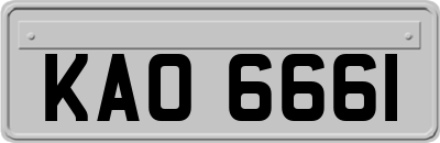 KAO6661