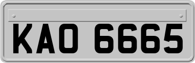 KAO6665