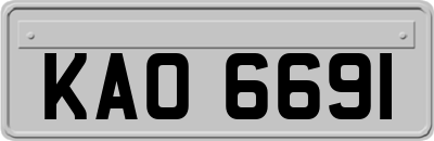 KAO6691