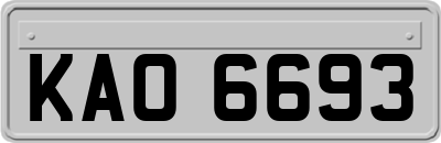 KAO6693