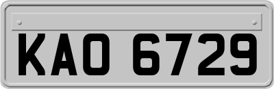 KAO6729