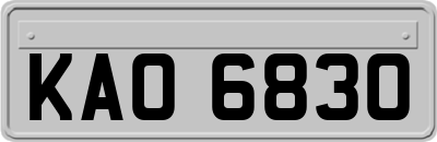 KAO6830