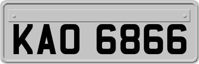 KAO6866