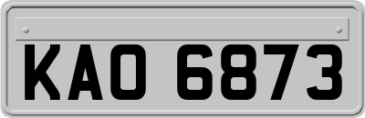 KAO6873
