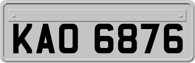 KAO6876