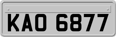 KAO6877