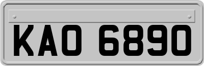 KAO6890