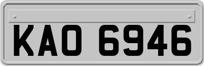 KAO6946
