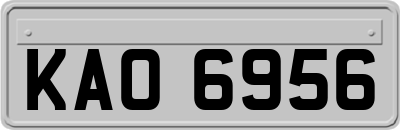 KAO6956