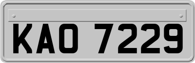 KAO7229