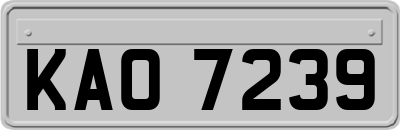 KAO7239