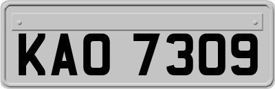 KAO7309