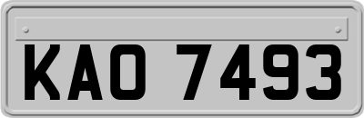 KAO7493