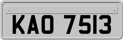 KAO7513