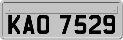 KAO7529