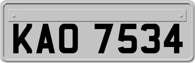 KAO7534