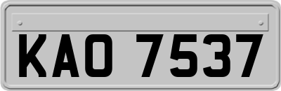 KAO7537