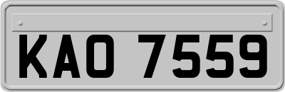 KAO7559