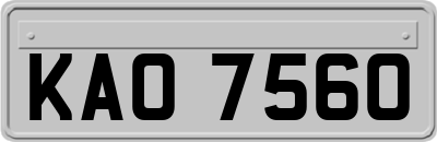 KAO7560