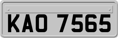 KAO7565