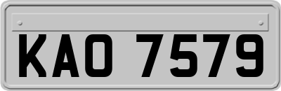KAO7579