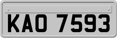 KAO7593