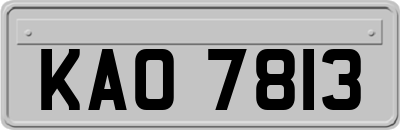 KAO7813