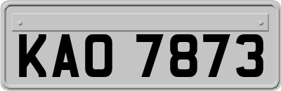 KAO7873
