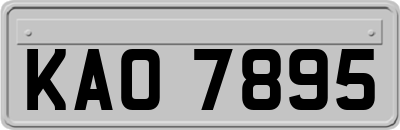KAO7895