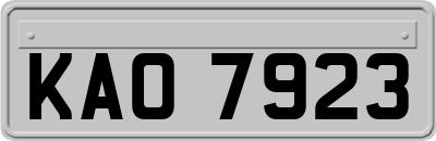 KAO7923