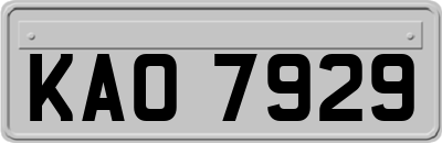 KAO7929