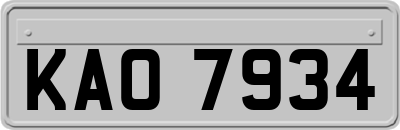 KAO7934
