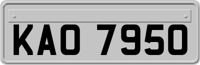 KAO7950