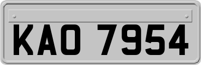 KAO7954