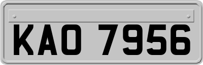 KAO7956