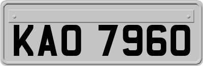 KAO7960