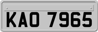 KAO7965