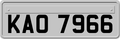 KAO7966