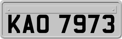 KAO7973