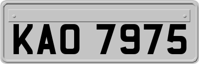 KAO7975