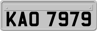 KAO7979