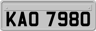 KAO7980