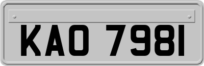 KAO7981