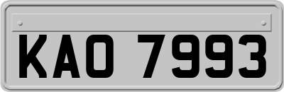 KAO7993