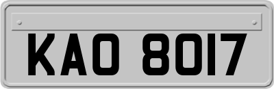 KAO8017