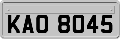 KAO8045
