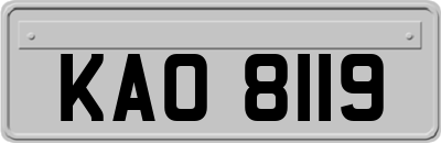 KAO8119