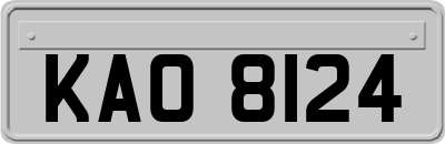 KAO8124