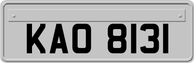 KAO8131