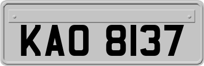 KAO8137